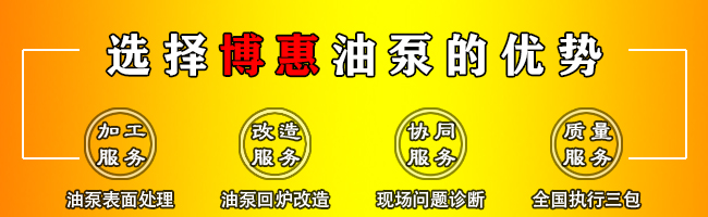  RY型風(fēng)冷式導(dǎo)熱油泵(圖5)
